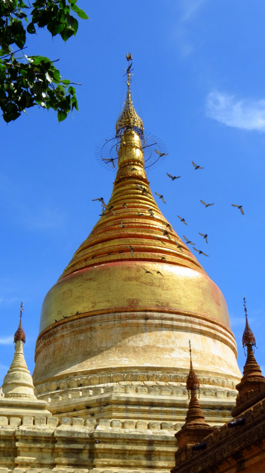 myazedi-pagoda-with-pigeons