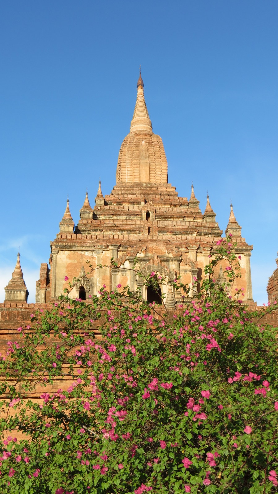 temple-and-flowers-bagan