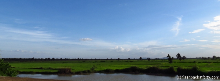 battambang-rice-paddy-view