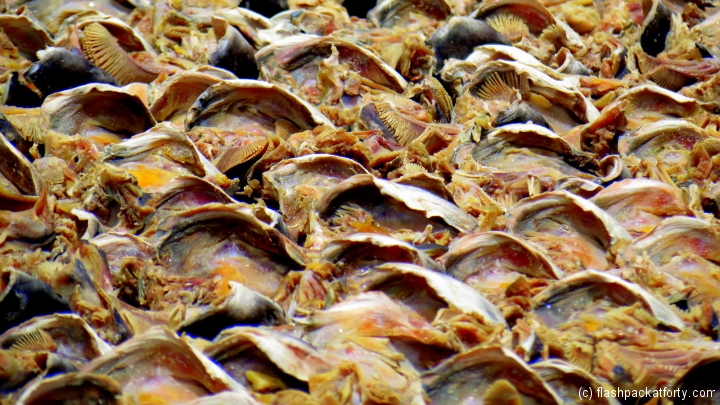 fish-drying-battambang