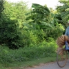 basket-bike-trader-battambang