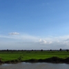 battambang-rice-paddy-view