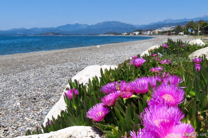 calis-beach-and-flowers