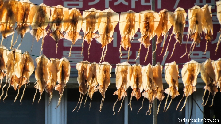dried-fish-drying-korea