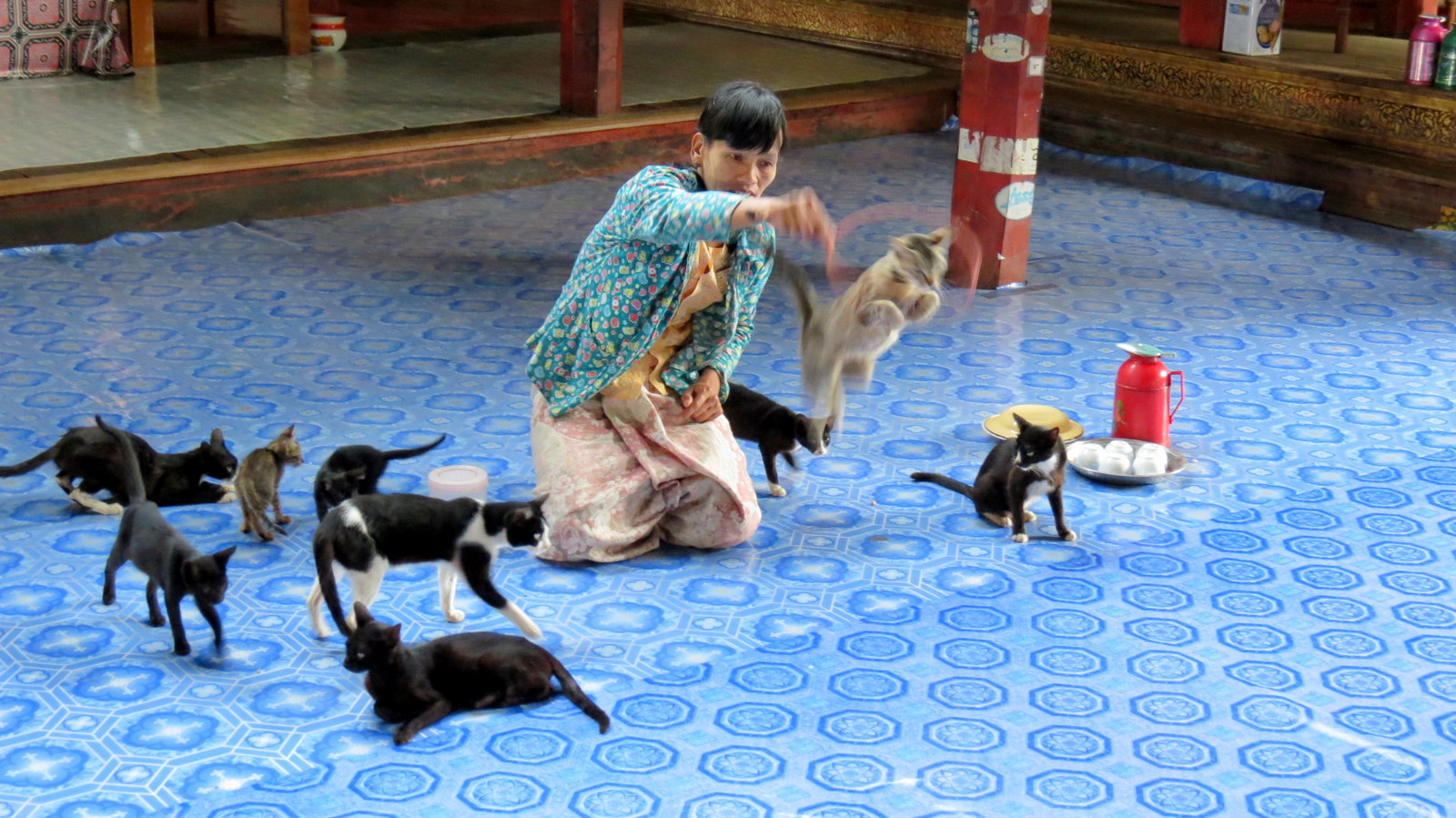 cats-jump-at-nga-hpe-kyaung-monastery