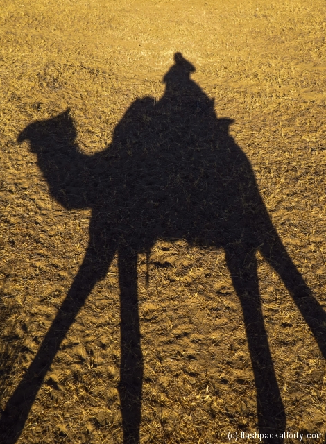 camel-shadow-jaisalmer-desert