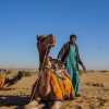 camel-driver-and-camel-jaisalmer
