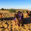 camel-rest-jaisalmer-desert