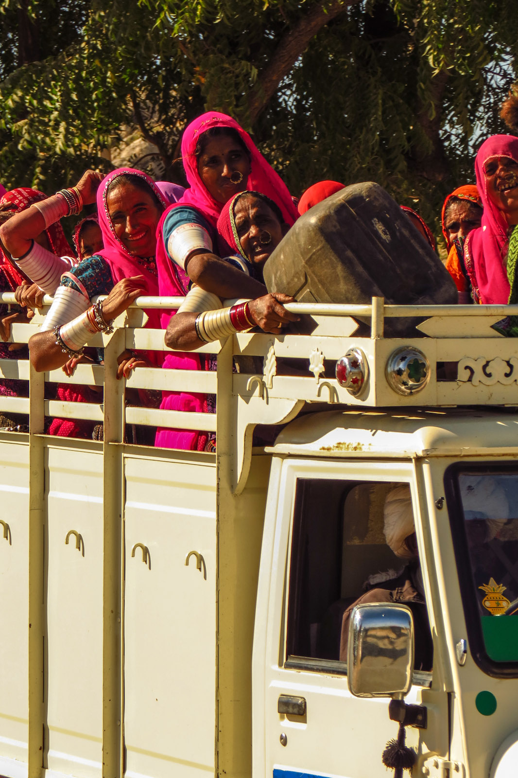 women-in-truck-transport-jodphur