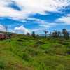 cornering-train-kandy-nuwara-eliya-train