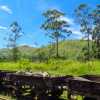 freight-truck-and-view-badulla-train