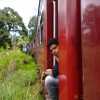 fresh-air-sri-lankan-train