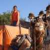 camel-and-worker-mandawa