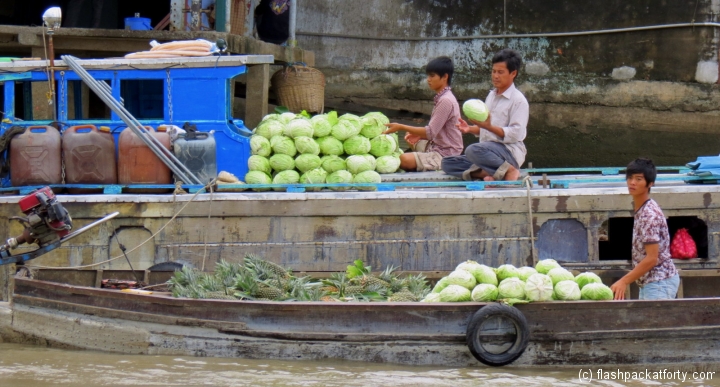 Mekong river cabbages