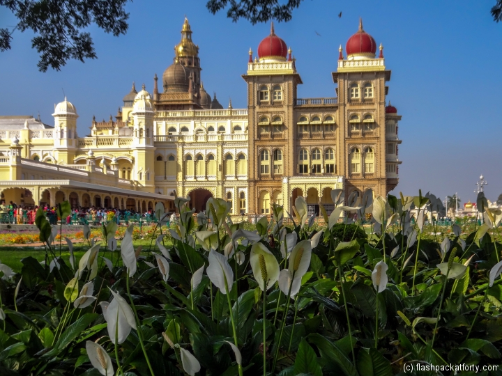 mysore-palace-and-lily-india