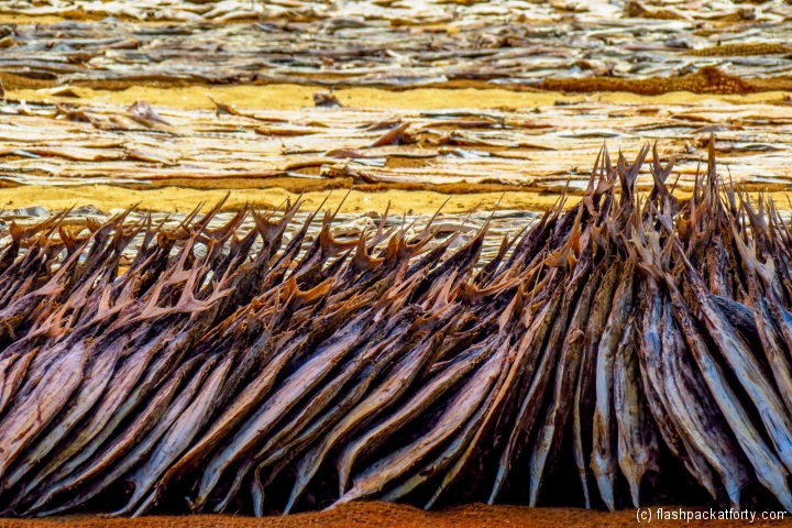 dried-fish-negombo-market