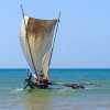 sailboat-at-sea-negombo