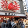 Osaka Seafood Street Scene