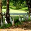 herons-at-lake-polonnaruwa