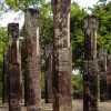 polonnaruwa-pillars