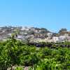 vineyards-overlooked-by-hill-village-santorini