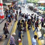 Zebra Crossing Madness