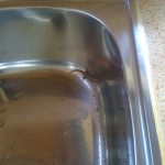 Small lizard in sink