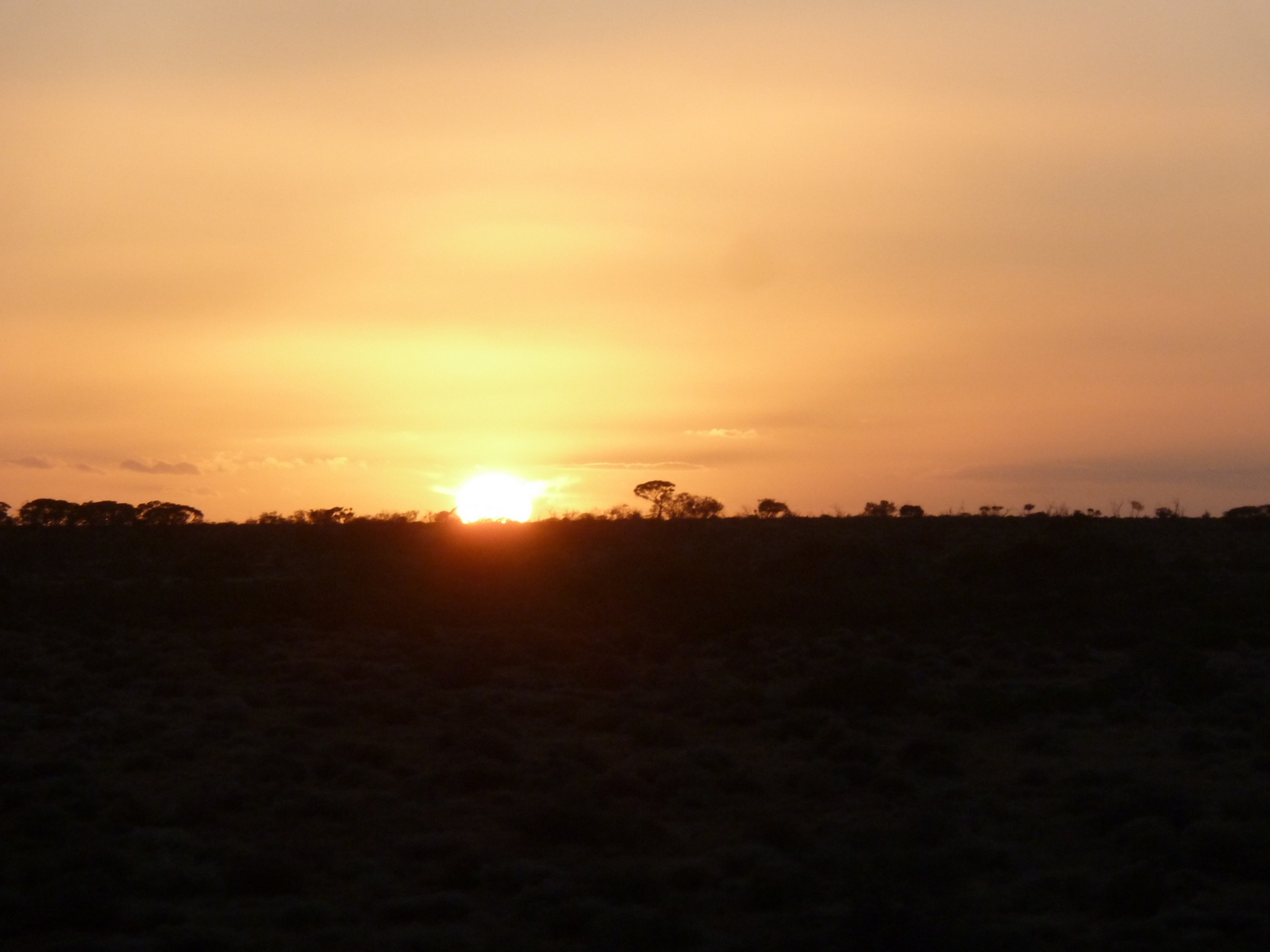 Sunset on the ghan low