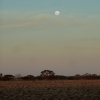 moonrise from the Ghan
