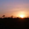 Sunset on the ghan