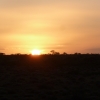Sunset on the ghan low