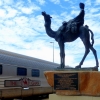 Alice Ghan Station Statue