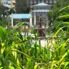 adelaide-botanic-gardens-fountain