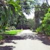 adelaide-botanic-gardens
