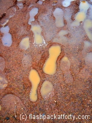 Outback rainy footprints