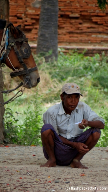horse cart driver and horse