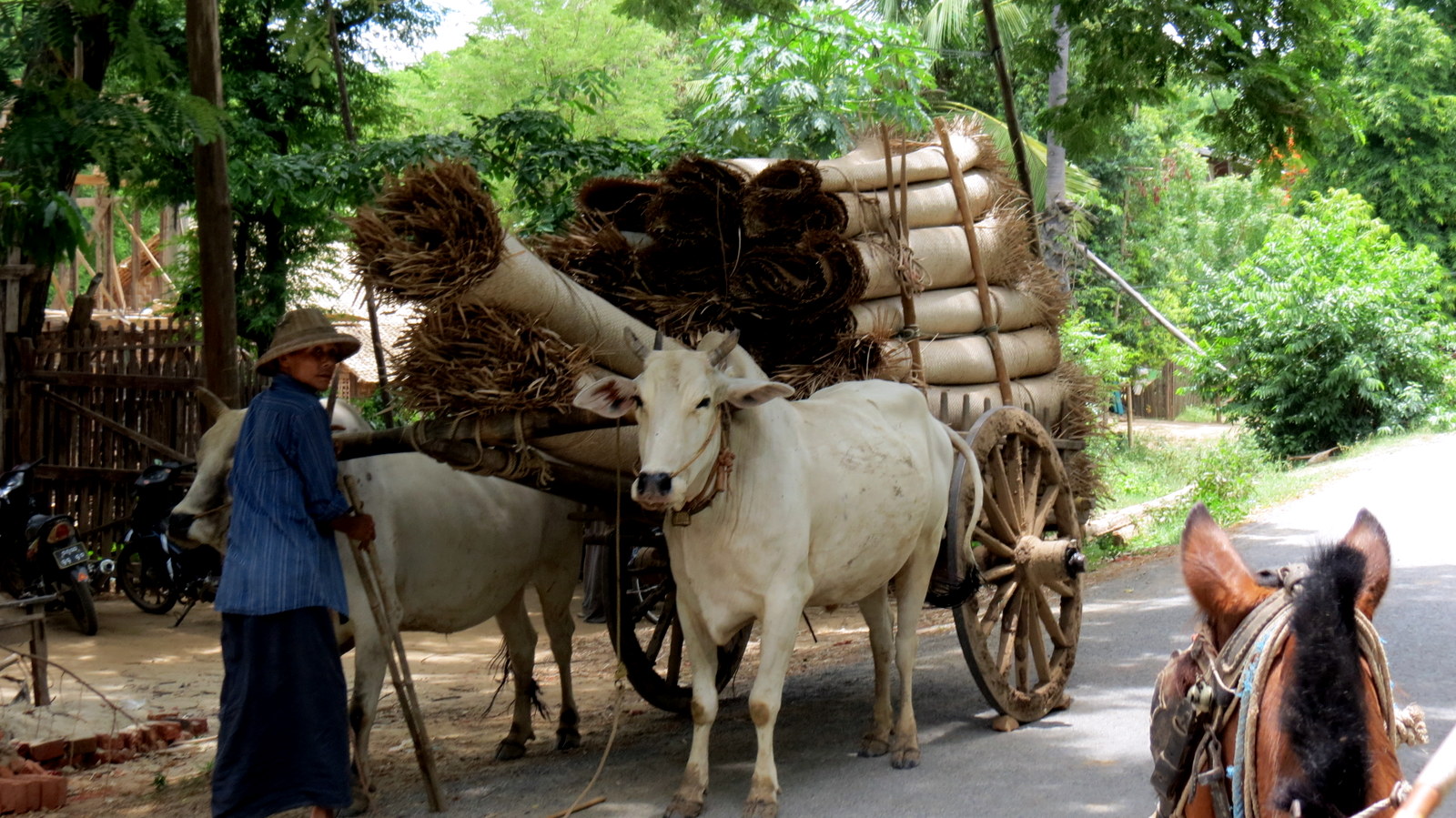 inwa-ox-cart-transport
