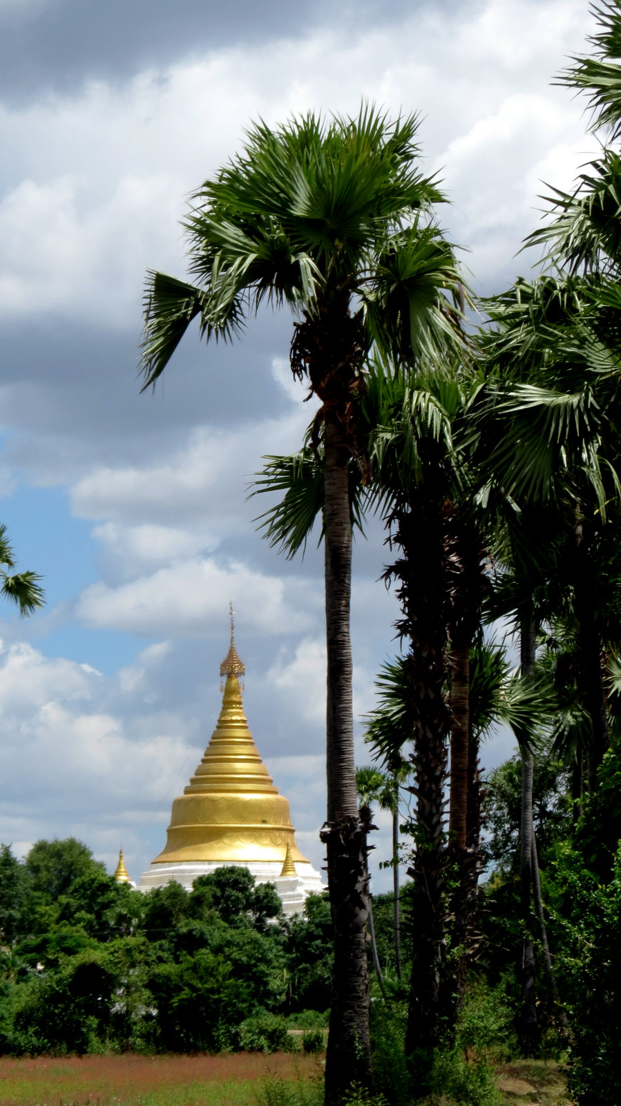 palm-stupa-inwa