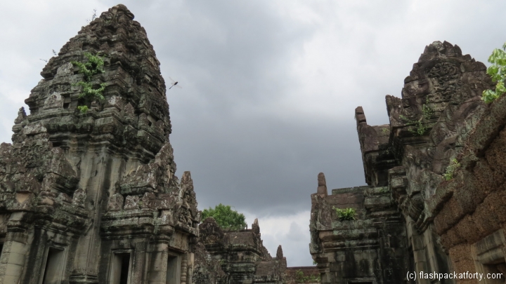 dragonfly-and-temple-angkor-wat