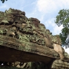angkor-carving-and-tree