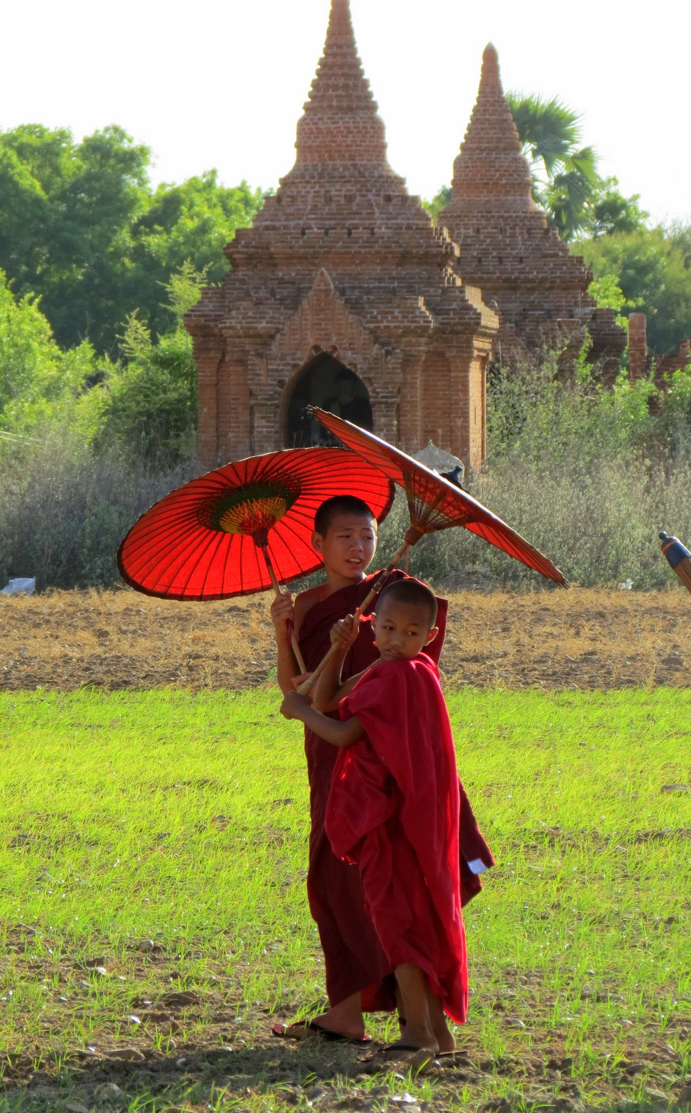 monk-parasol-and-sunlight-bagan