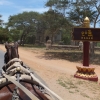 bagan-horse-and-sign