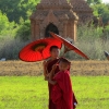 monk-parasol-and-sunlight-bagan