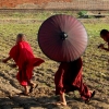 monks-and-parasols