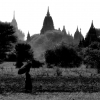 monochrome-temples-and-monks-with-parasols