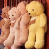 bangkok chinatown teddies.JPG