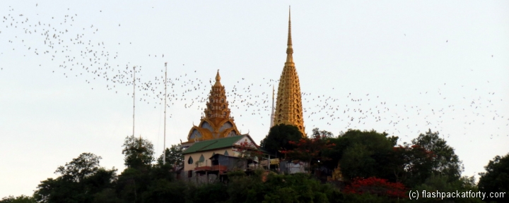 bats-fly-over-temple-phnom-sampeau