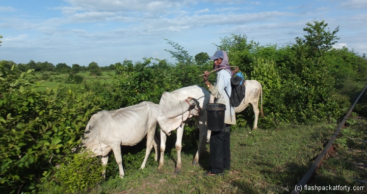 farmer-bamboo-train-tracks-battambang