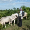 farmer-bamboo-train-tracks-battambang