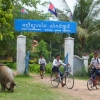 schoolkids-and-boar-battambang